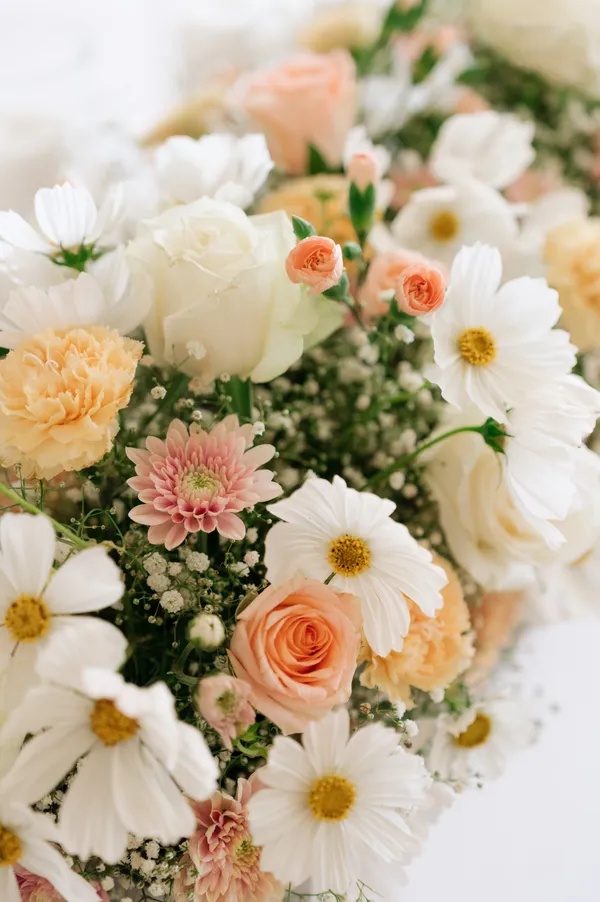 A close-up of pink chrysanthemum blooms.