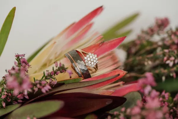 Wedding rings resting on protea petals.