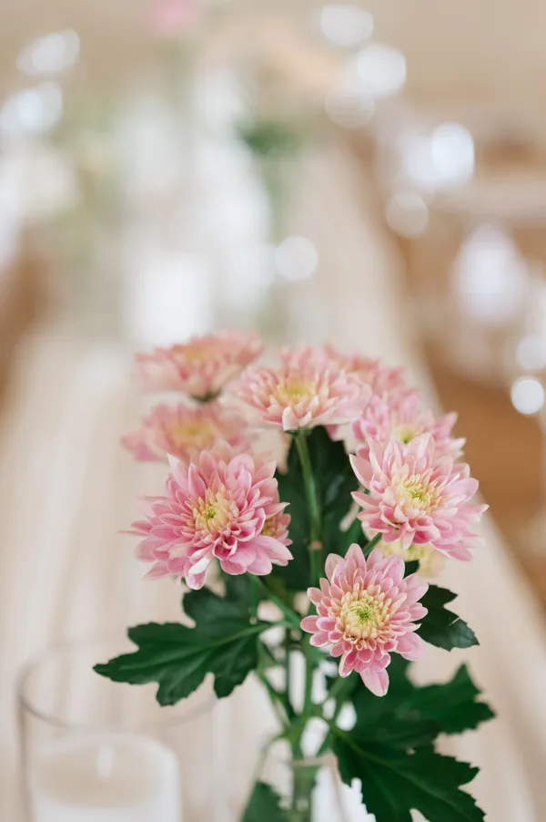 A tall white delphinium stem arrangement at a place setting.